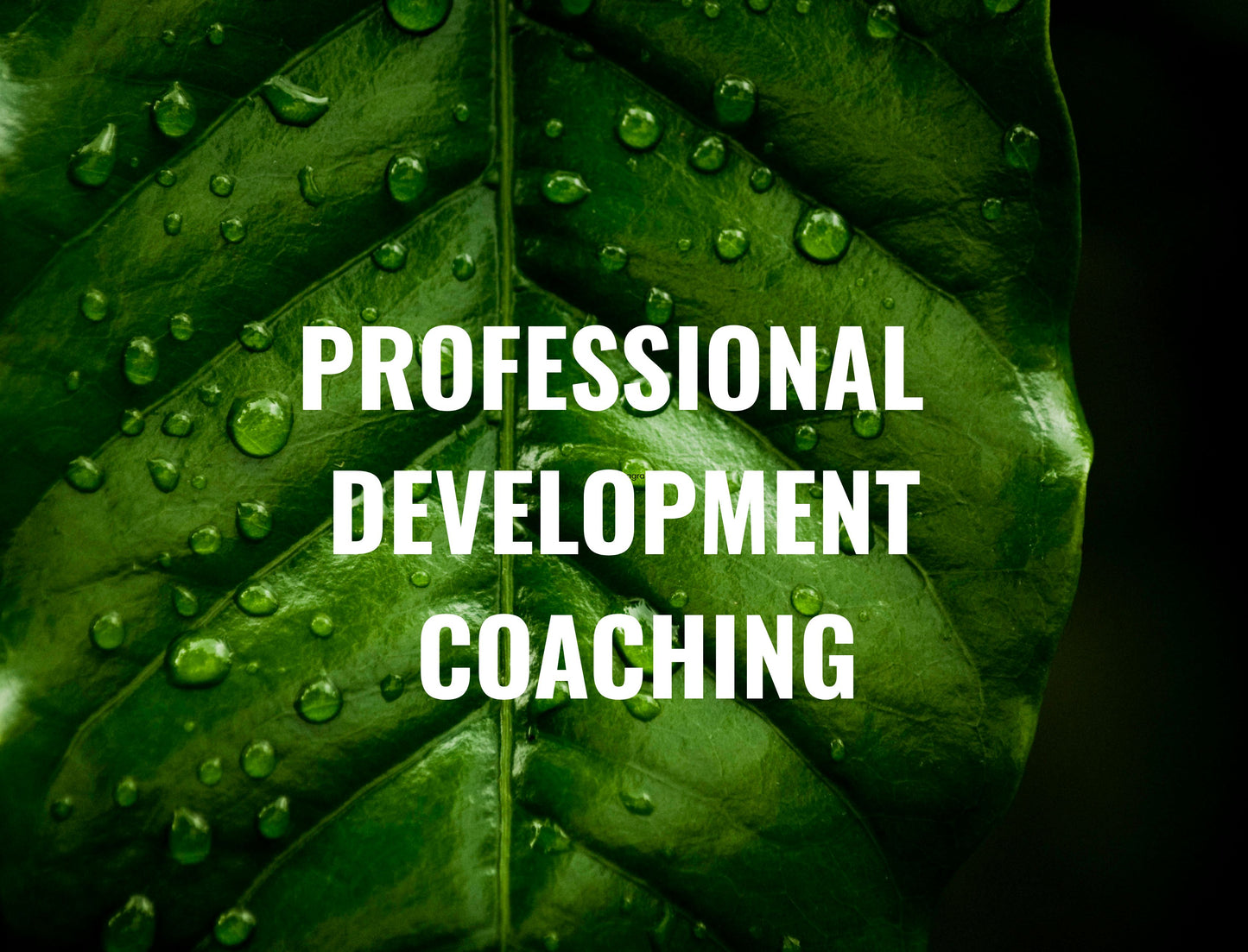 Professional Development Coaching