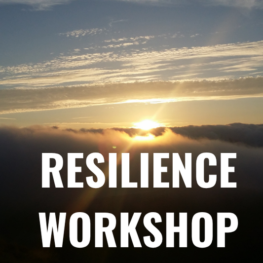 Resilience in the Workplace Workshop