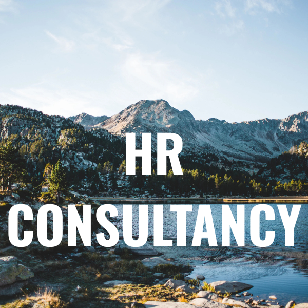 HR Consulting for Startups