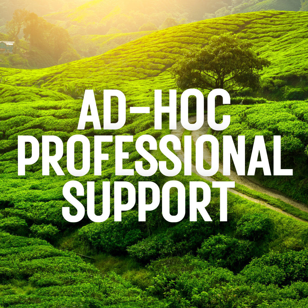 Ad-hoc HR Support