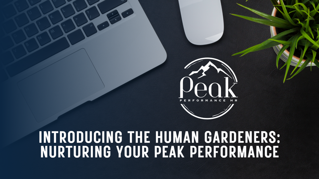 Peak Performance HR: A Brand New Look!