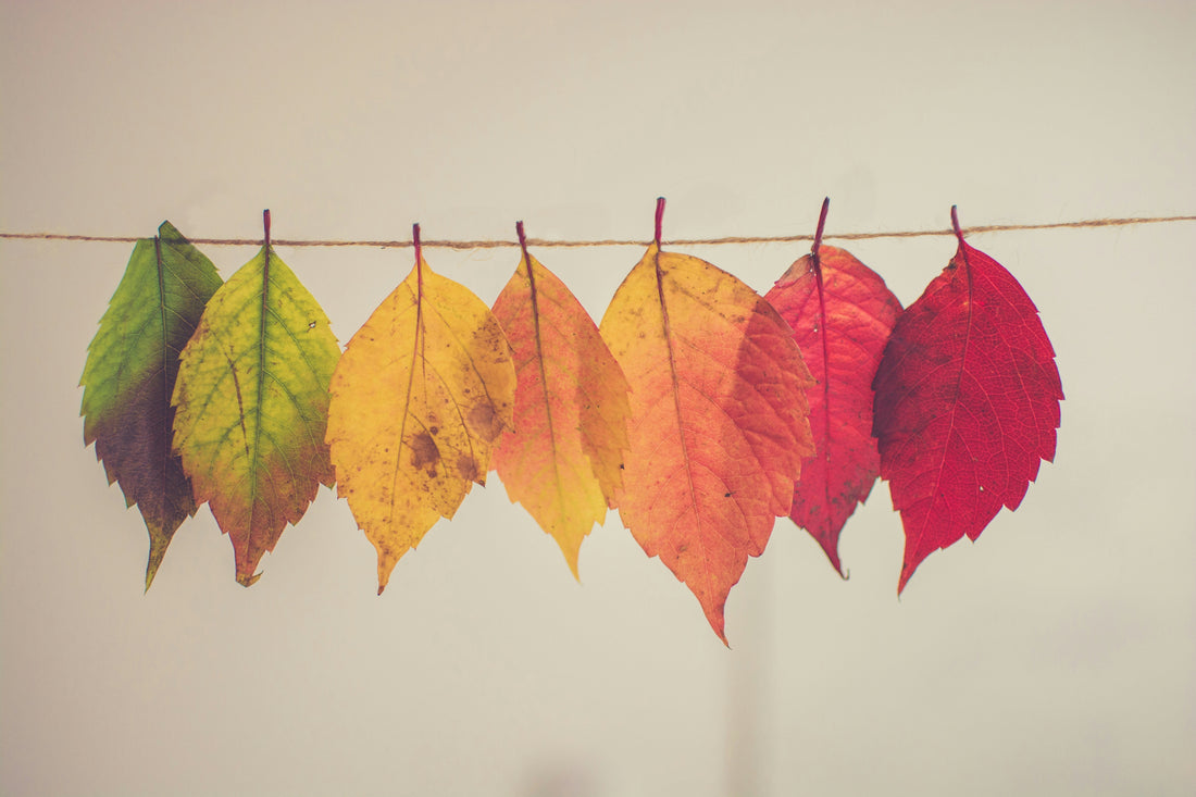 What Employees Need During Change (and why Performance Depends on it)