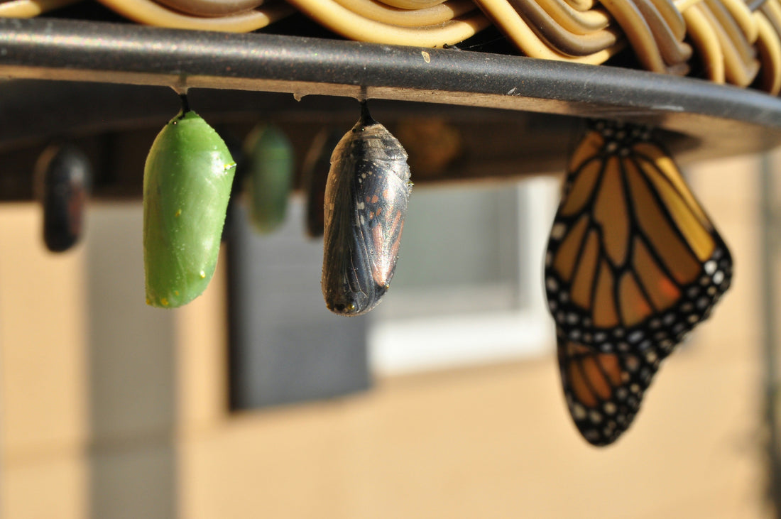 Why Performance Often Dips During Times of Change and What Actually Helps