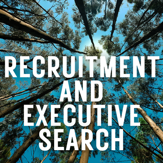 Recruitment and Executive Search