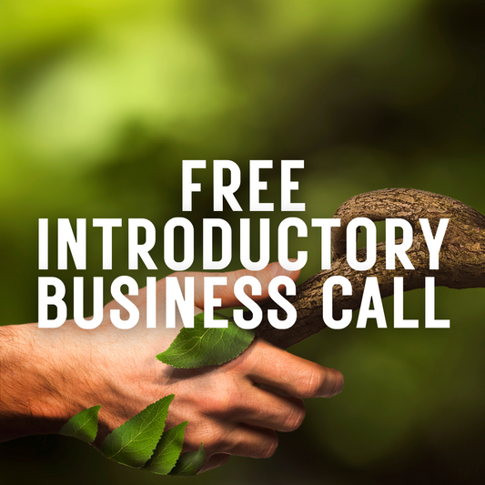 Free Introductory Business Call