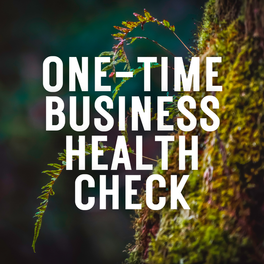 One-Time Business Health Check