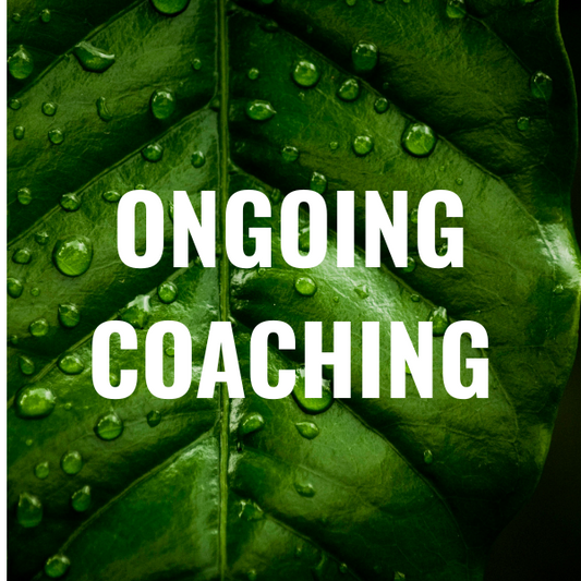 Professional Development Coaching