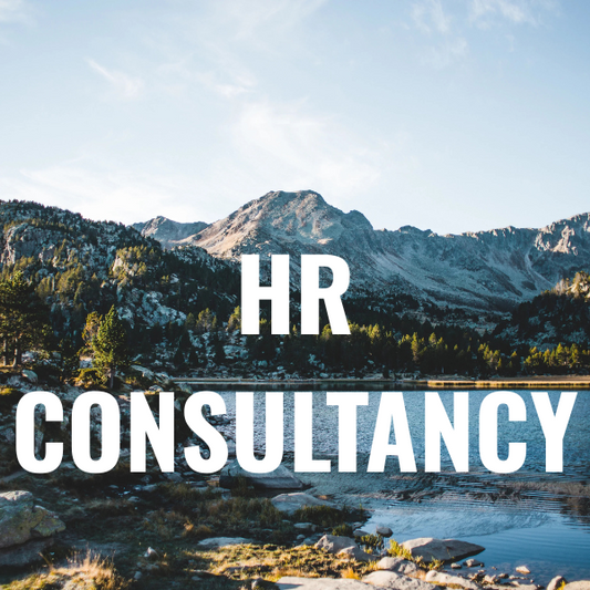 HR Consulting for Startups