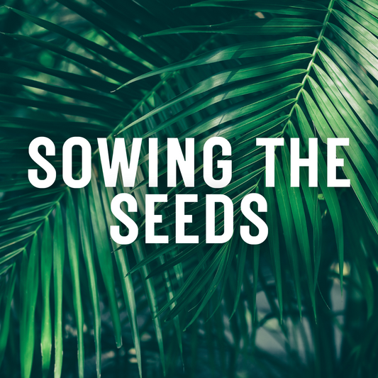 Sowing the Seeds: Entrepreneurial Kickstart Package