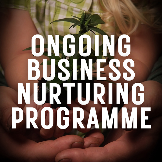 Ongoing Business Nurturing Programme