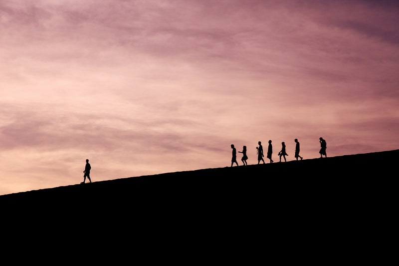 Silhouettes of people walking on a hill against a pink sky - Career Change Coaching in Norwich & Norfolk Peak Performance HR